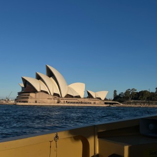 Elisa is calling📞…